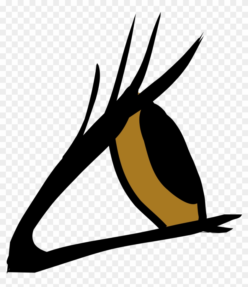 Eyeball Clipart Side View - Eye From Side Png Transparent Png