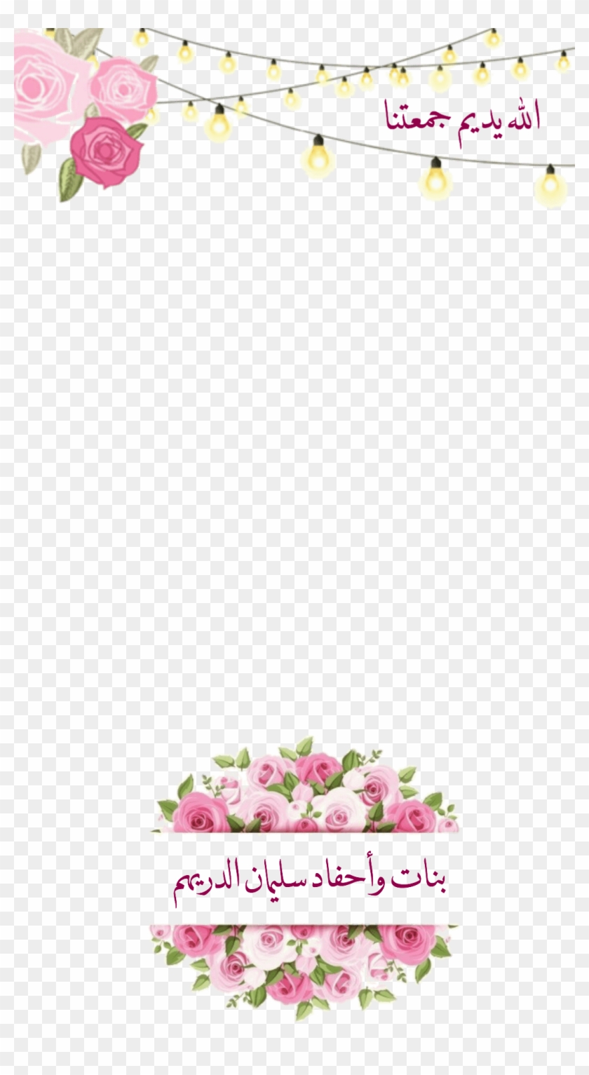 Flower Pink Rose Vector Clipart