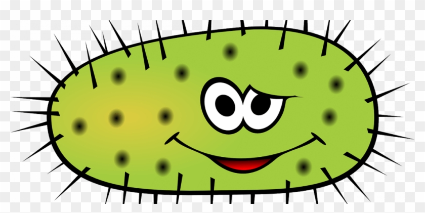 Oregano And Melaleuca Oils Fight Bacteria - Cartoon Bacteria Clipart #4186893