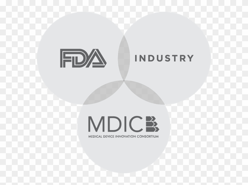 Caseforquality - Circle Clipart