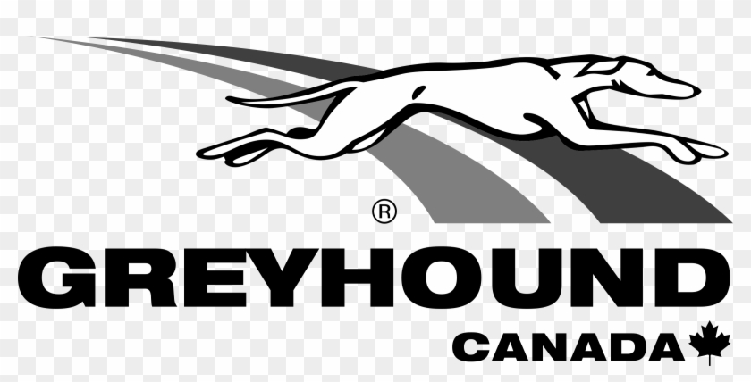 Greyhound Canada Logo Png Transparent - Greyhound Logo Png Clipart