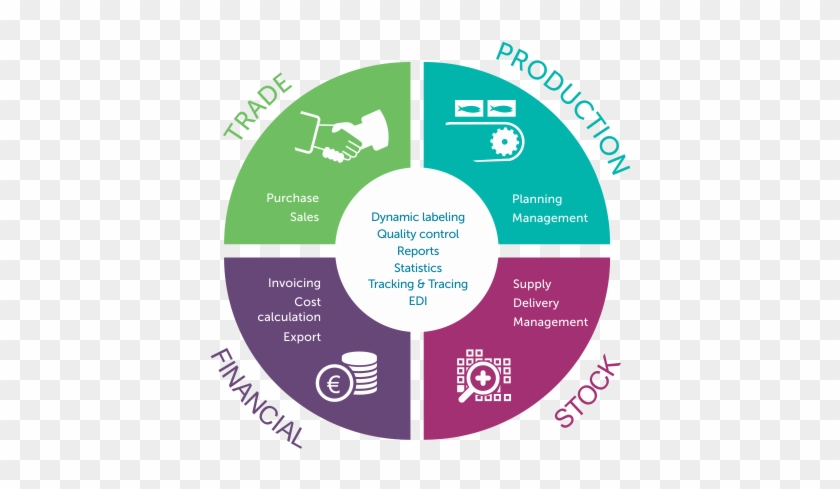 Kooy, Dayseaday, Neerlandia Urk, Quickfrozen And Rodé - Icone Embreagem Clipart #4191732