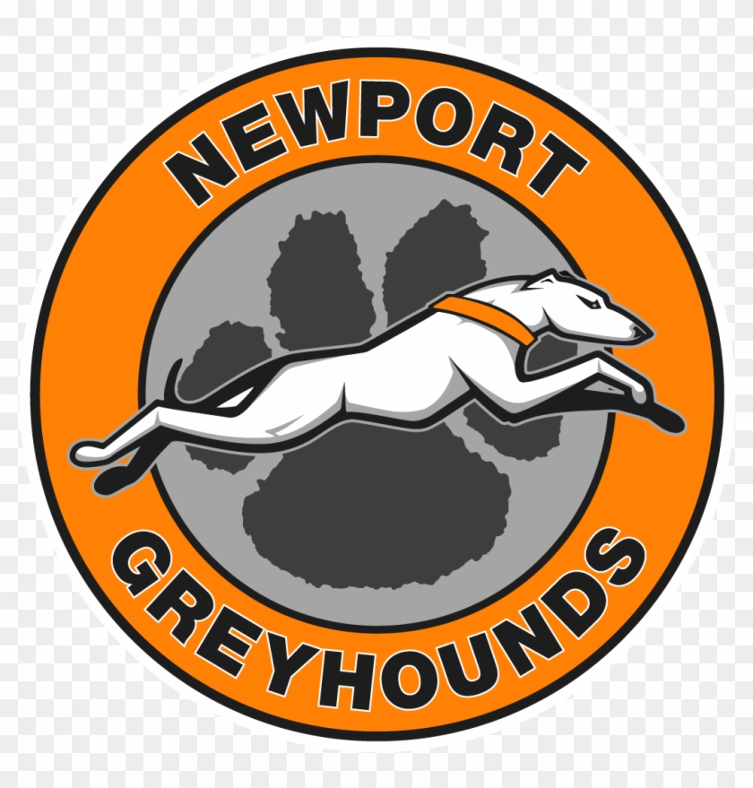 Newport School District Home Of The Greyhounds - Newport School District Clipart
