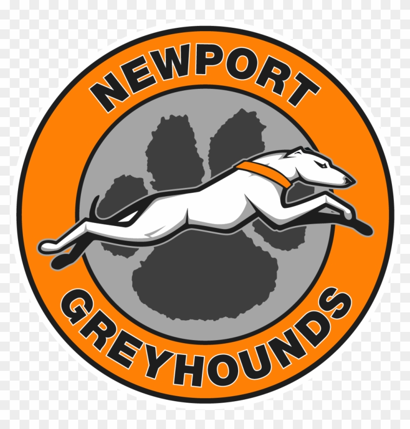 Newport School District Home Of The Greyhounds - Newport School District Clipart #4192043