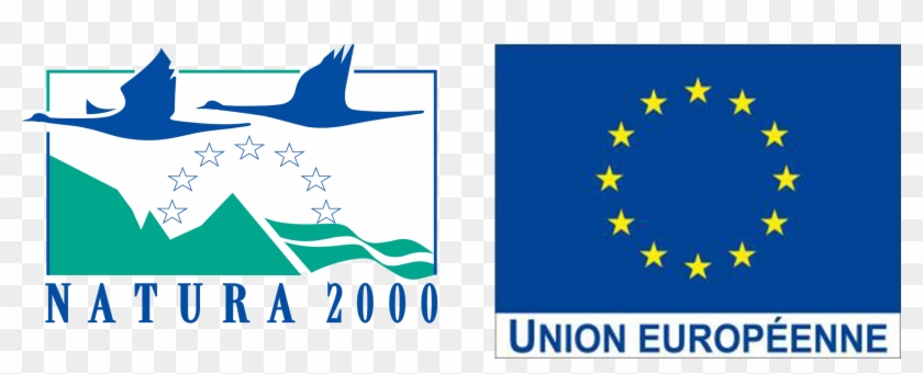 Logo S N2000 - Natura 2000 Clipart