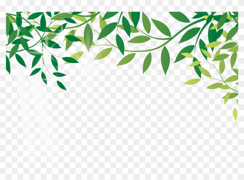 Amazon Com Earth Leaf Online Shopping Amazoncom - Amazon Leaf Png Clipart