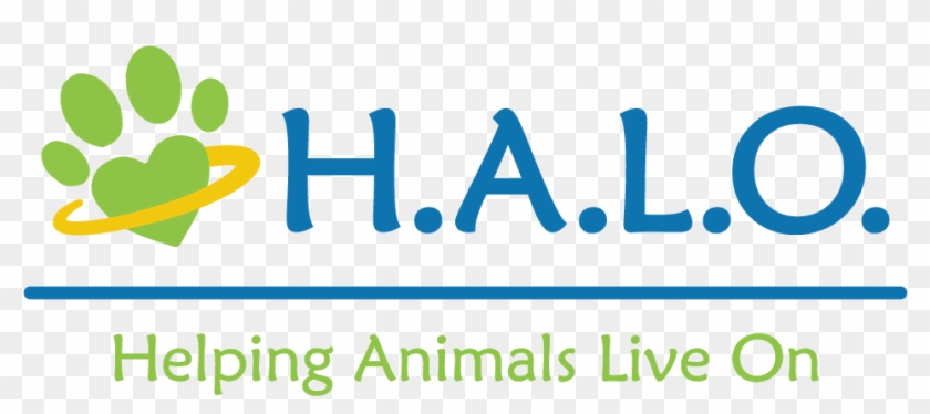 Halo Logo Color - Graphic Design Clipart