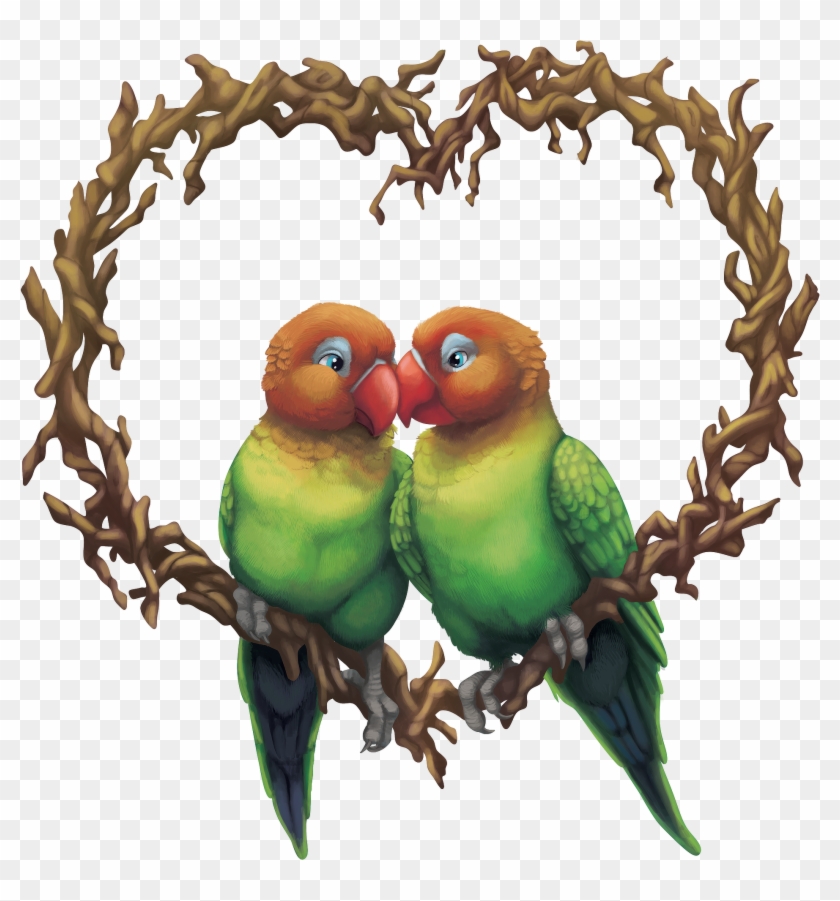 Birb Wubs - Budgie Clipart