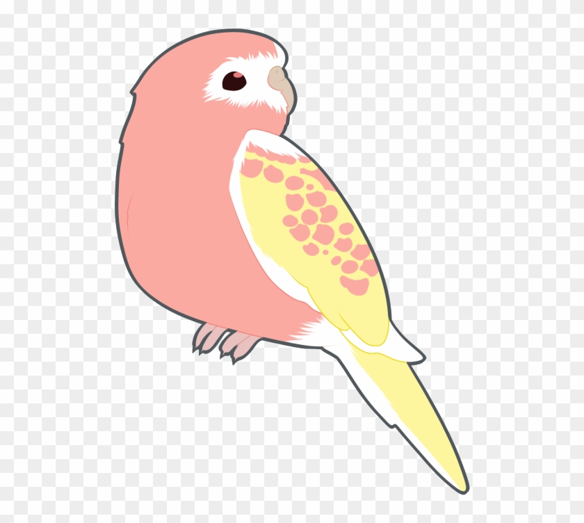 Bird In This Style - Parrot Transparent Clipart
