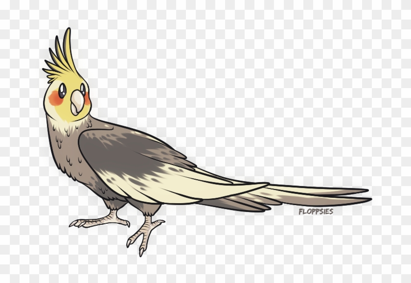 I Drew A Birb - Cockatiel Clipart #4195790