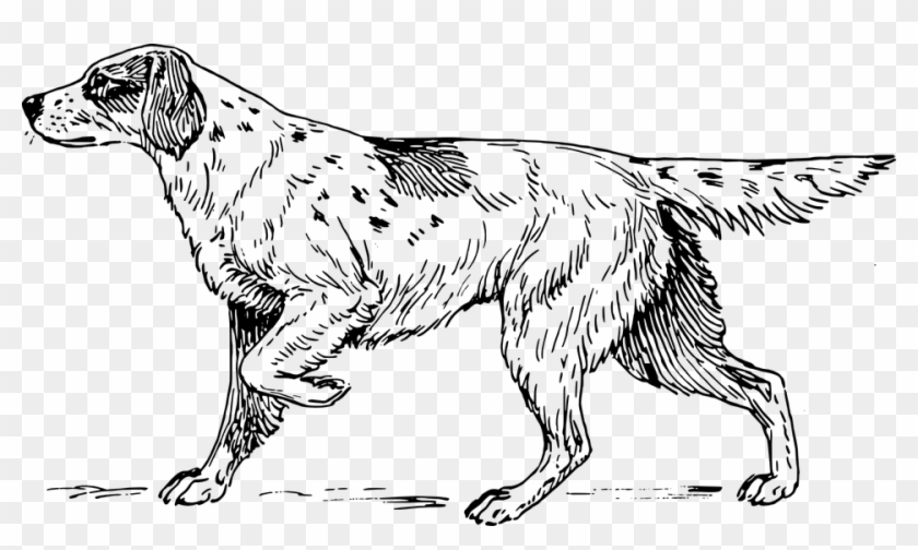 Kindergarten Measurement Assessment Clipart #4195824