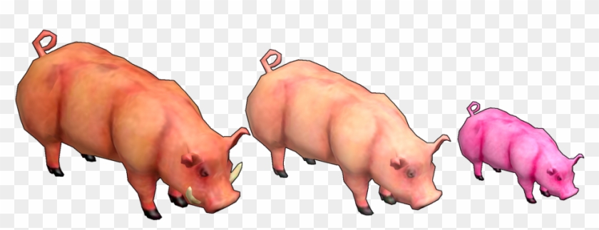 Hafen-pig - Domestic Pig Clipart