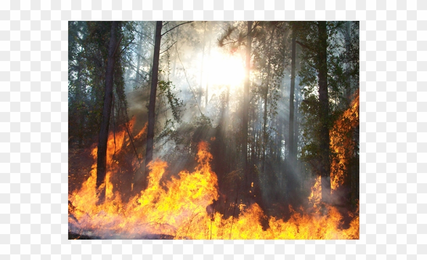 Fuel Science - Landscape Fire Clipart #4198009