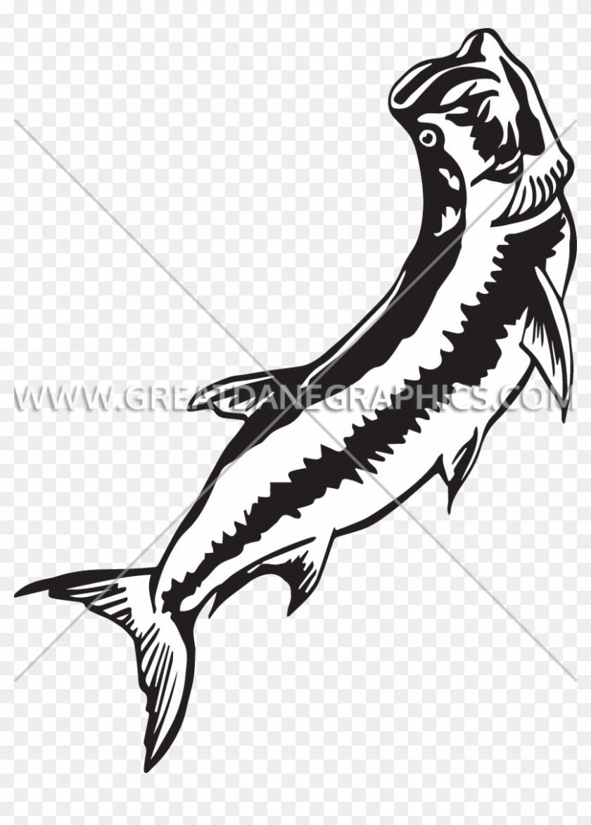 Clip Art Freeuse Download At Getdrawings Com Free For - Illustration - Png Download