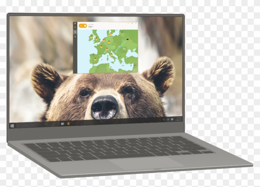 Browse 22 Countries - Bear Face Clipart #4198806