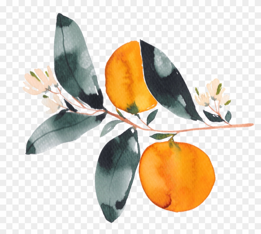 Hand Drawn Orange Watercolor Transparent With Flowers - Orange Watercolor Flower Transparent Clipart