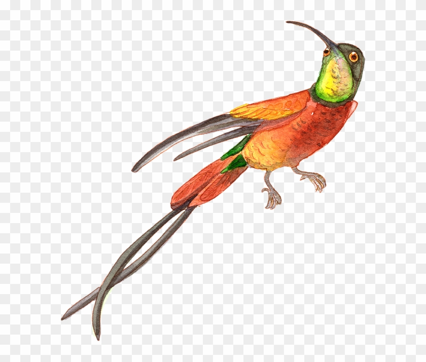 Bleed Area May Not Be Visible - Watercolor Rainforest Png Clipart