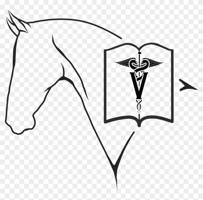 Hvb Logo Png - Sketch Clipart