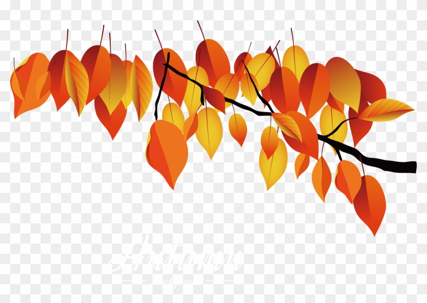 Autumn Leaves Clipart Dead Leaf - Maple - Png Download
