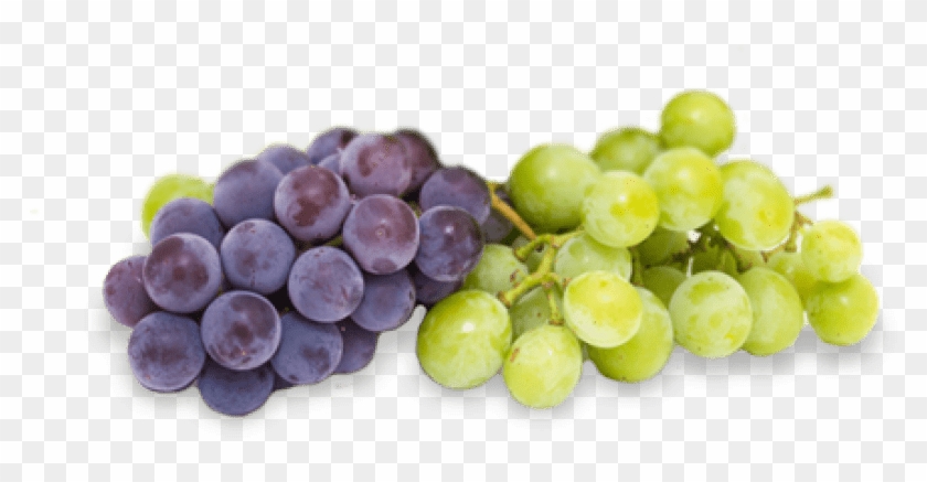 850 X 436 25 - Grape Clipart #420648