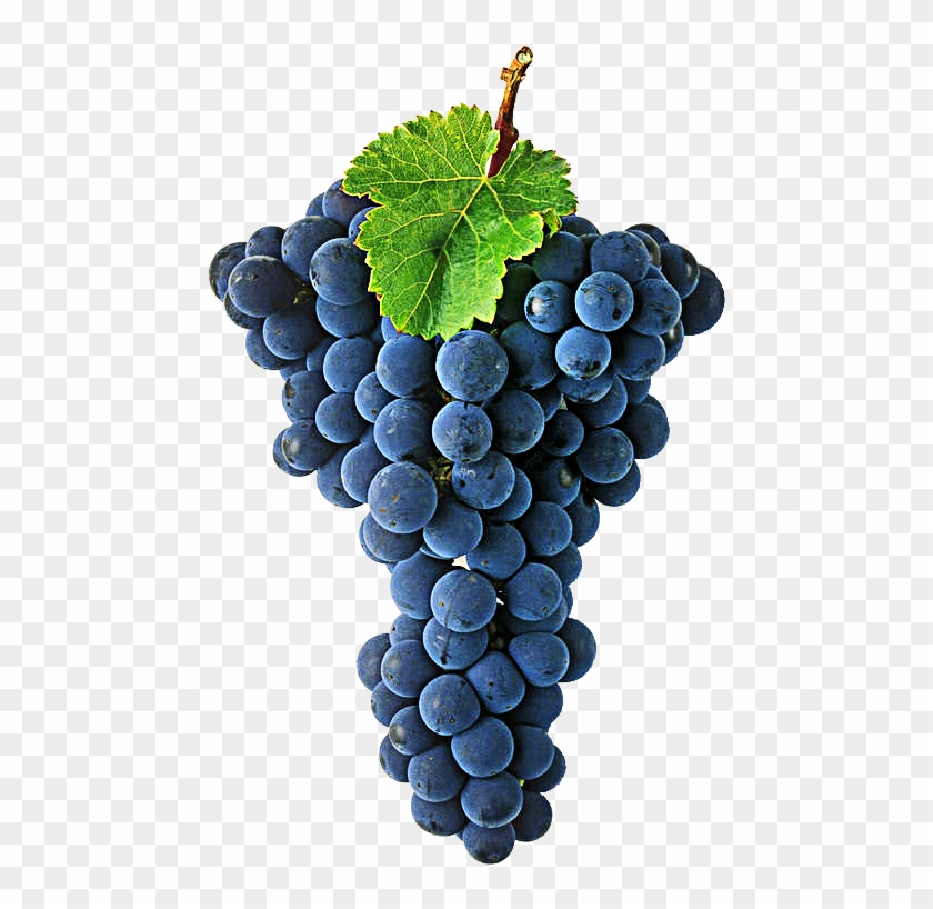 Cabernet Sauvignon Is One Of The World's Most Widely - Cabernet Sauvignon Grape Png Clipart