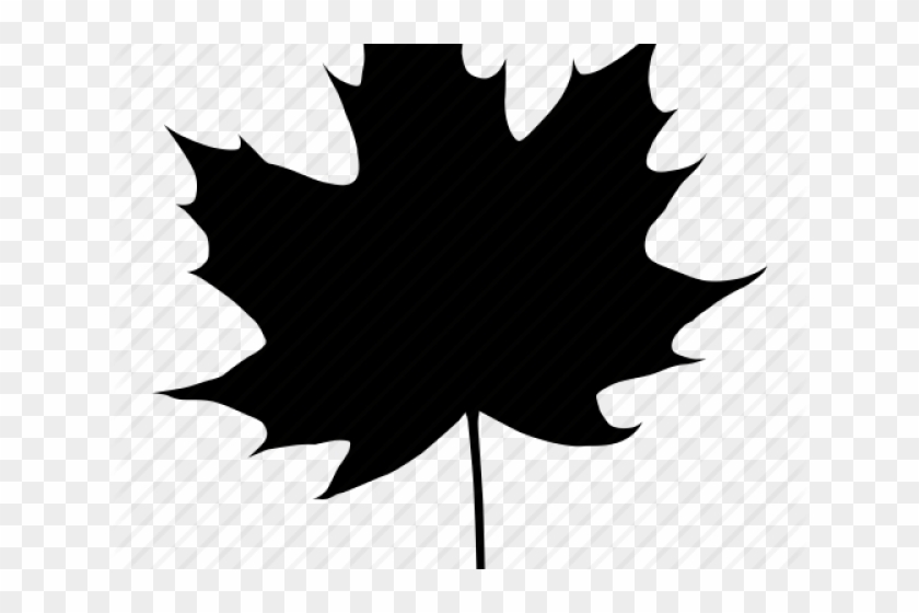 Maple Leaf Svg Free Clipart