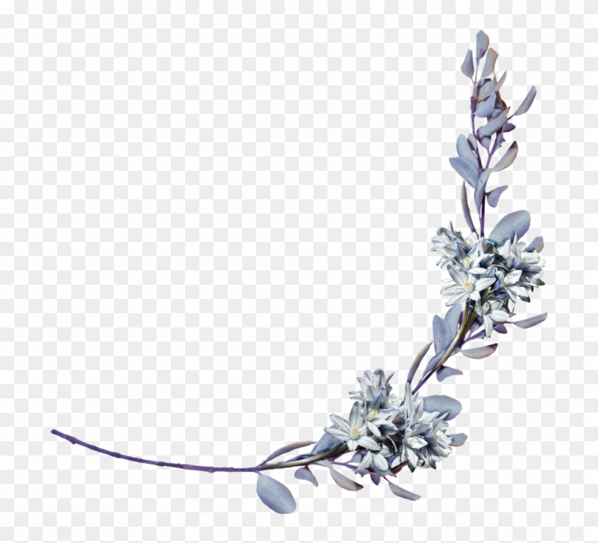 Lavender Clipart Laurel - Laurel Branch Png Transparent Png #423386