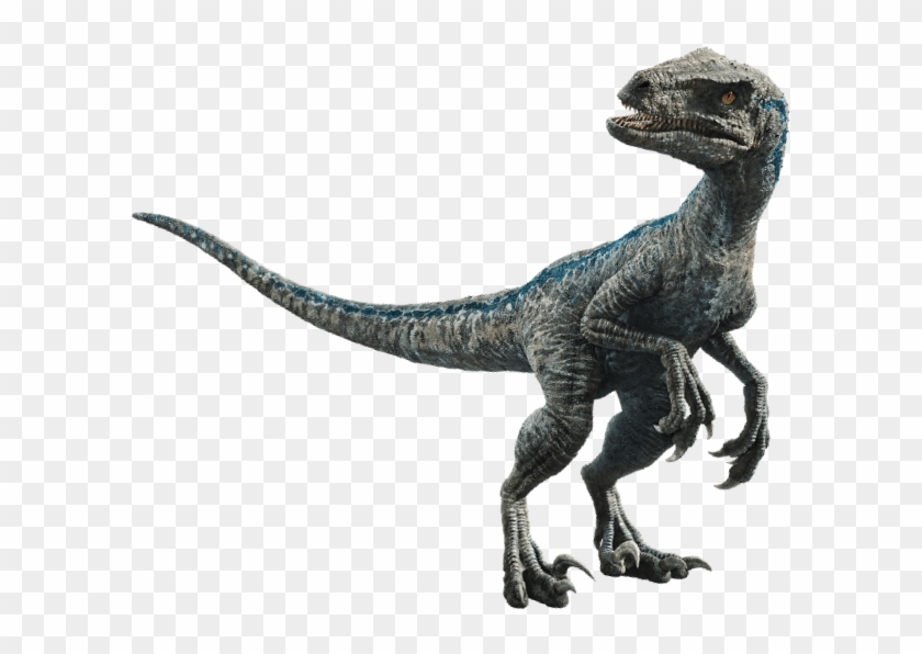 Jurassic Park Wiki - Jurassic World Blue Clipart
