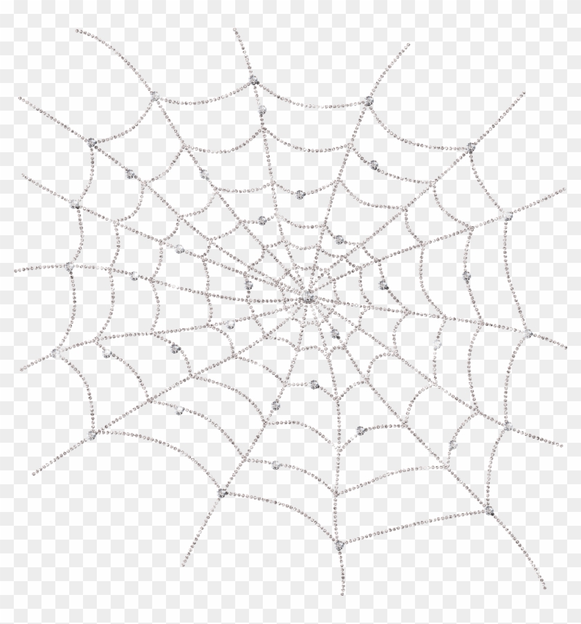 1000 X 1027 8 - Spider Web Clipart #424724