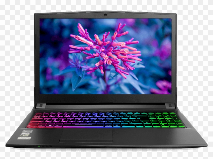 The All New Utopia Ballista - Nvidia Geforce Gtx 1050 Ti Clipart