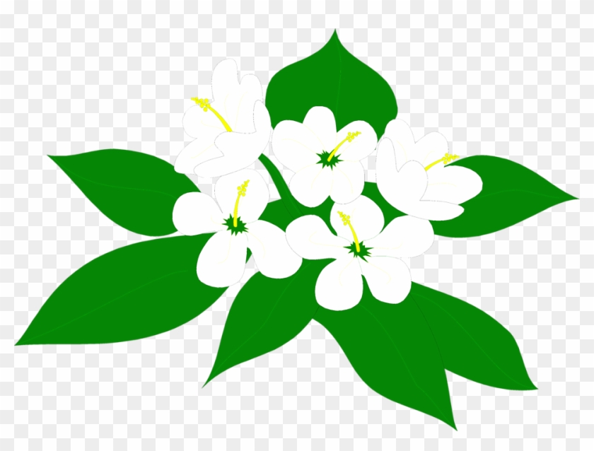 Flowers White - Sampaguita Flower Clipart Png Transparent Png #425826