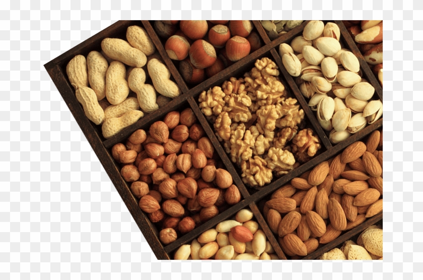 Img Home - Nut Clipart