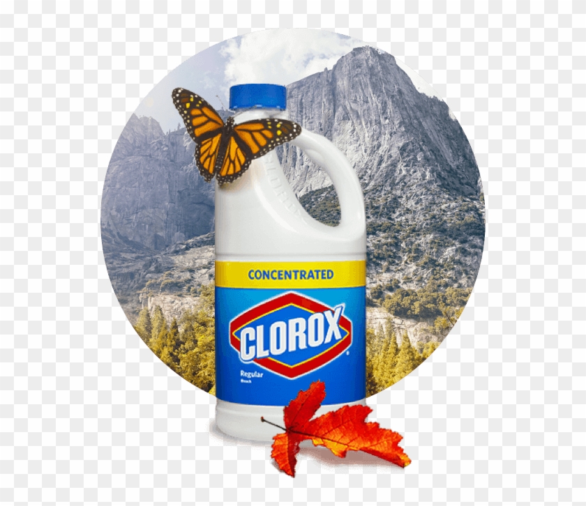 A Bottle Of Bleach - Clorox Clipart #426577