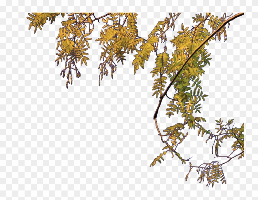 Png Tree File Arc Triomphe Tree Wikimedia Mons - Tree Images Png File Clipart #426892