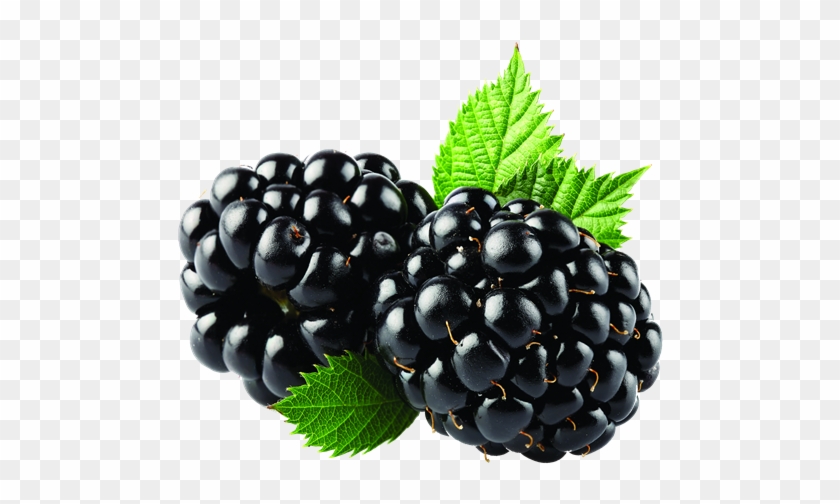 Blackberry Fruit Png Transparent Image - Blackberry Png Clipart #427428