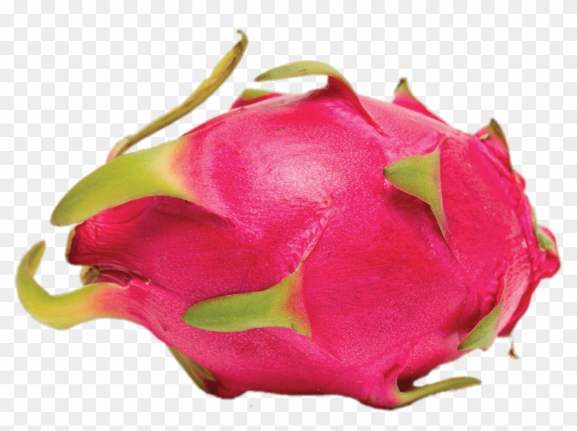 Whole Dragon Fruit Png - Chabutra Fruit In English Clipart