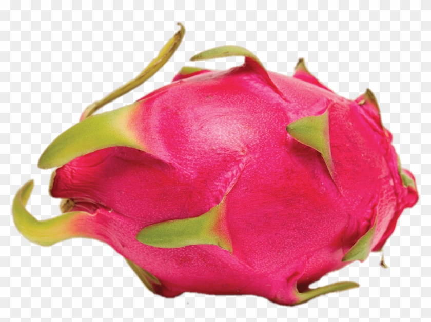 Whole Dragon Fruit Png - Chabutra Fruit In English Clipart #427586