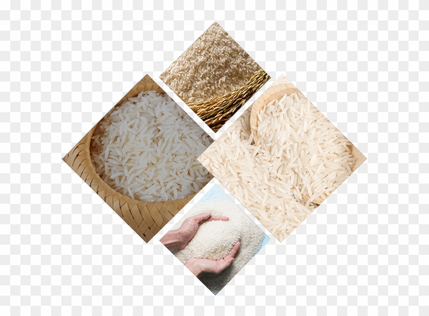 Origin Of Pakistani Basmati Rice For Export - Basmati Clipart #427756