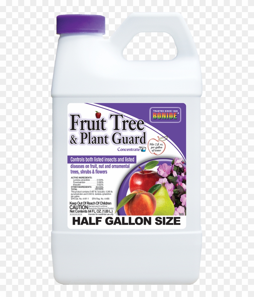 1/2gal - Superfood Clipart #429316