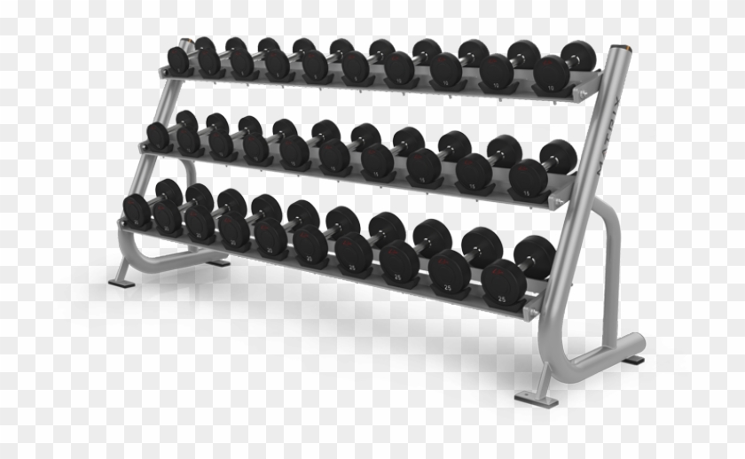 Close - Magnum Dumbbell Rack Clipart