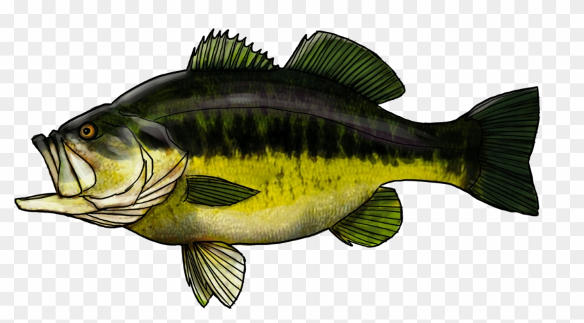 Black-bass - Bass Clipart #4200454