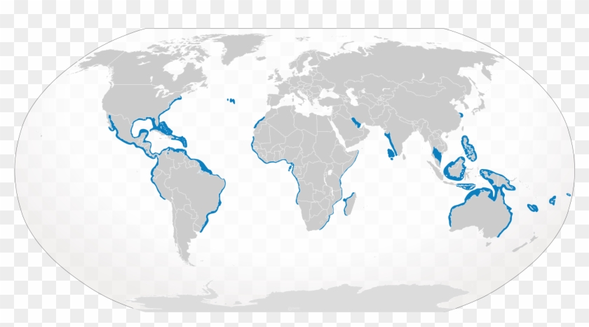 Bull Sharks Have Earned Their Name With A Signature - Bull Shark Location Found Clipart