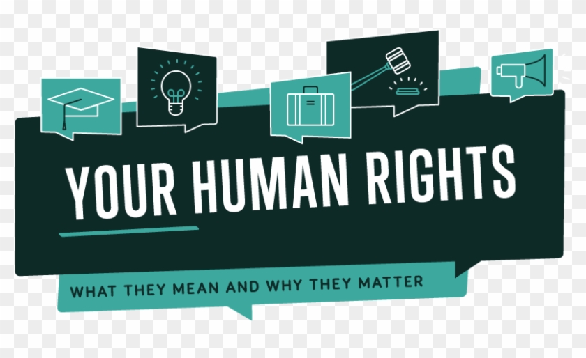 Your Rights - Human Rights Articles In Posters Clipart #4201873