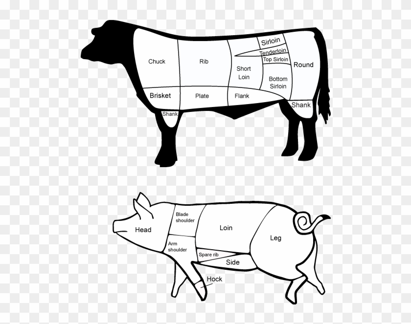 The Farm To Table Butcher - Cuts Of Beef Clipart #4202394