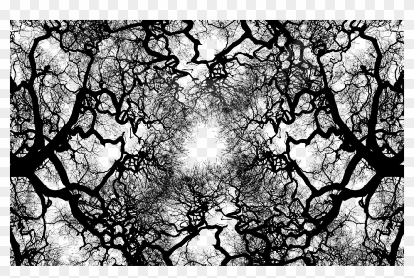 Share This Image - Black And White Trees Hd Clipart