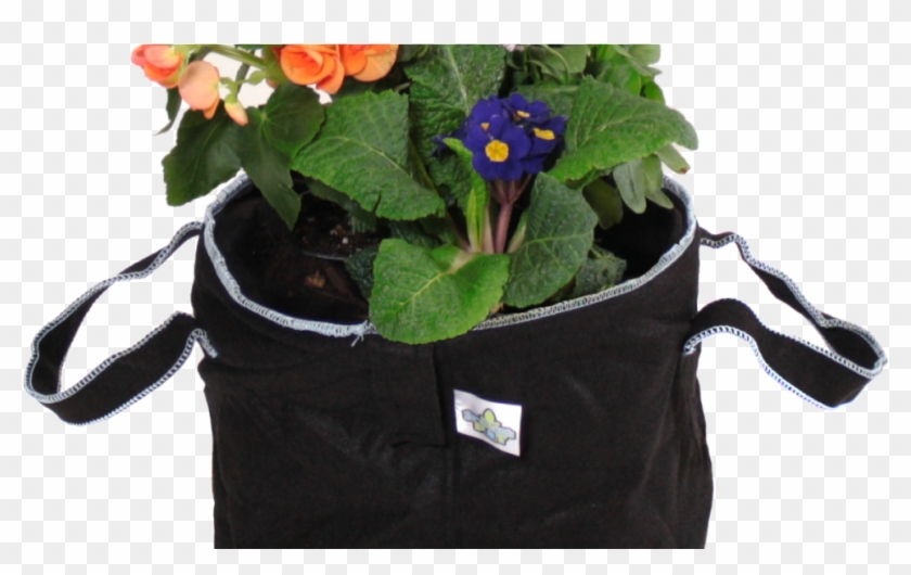 Burnersfabric Burnerfabric Pots - Primrose Clipart #4204402