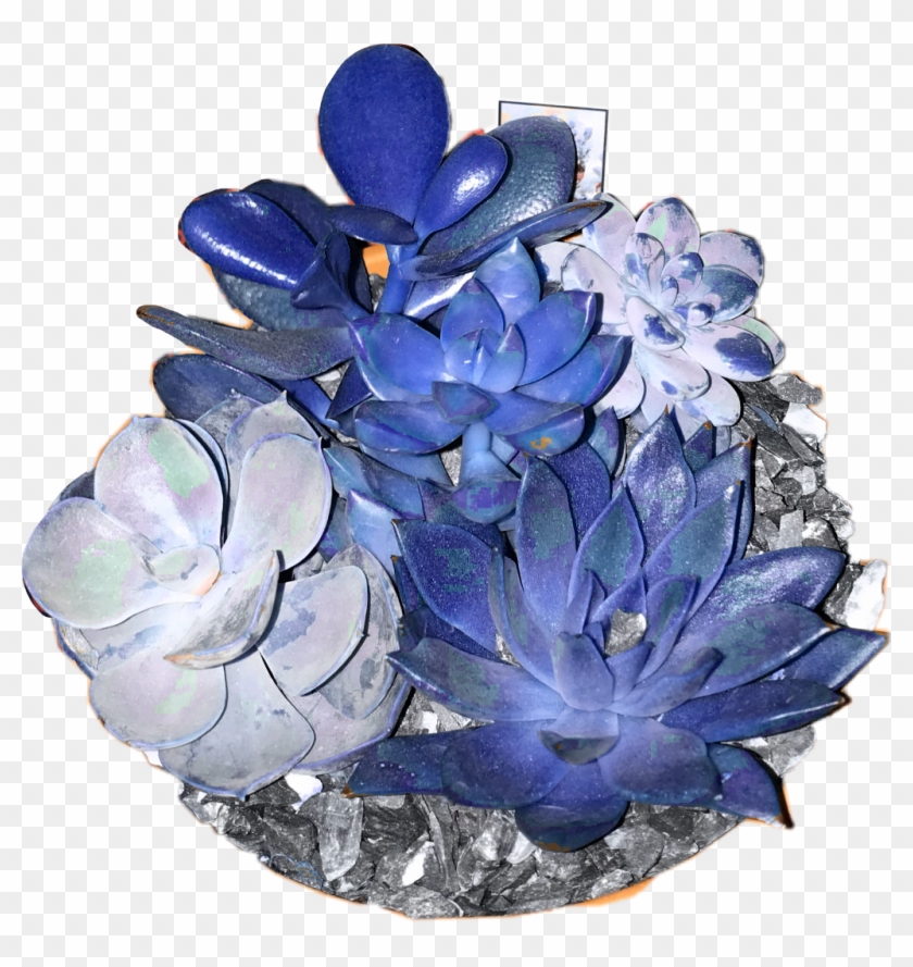 #cactus #blue #bluecactus #colors #dark #blueaesthetic - Dark Blue Aesthetic Png Clipart #4204846