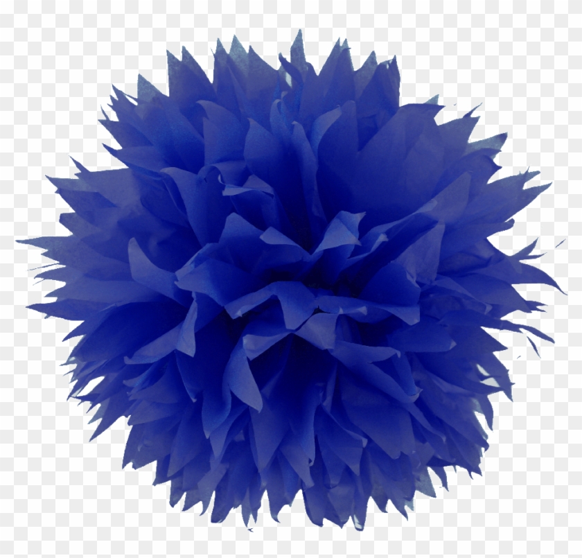 Prev - Pom Pom Transparent Background Clipart