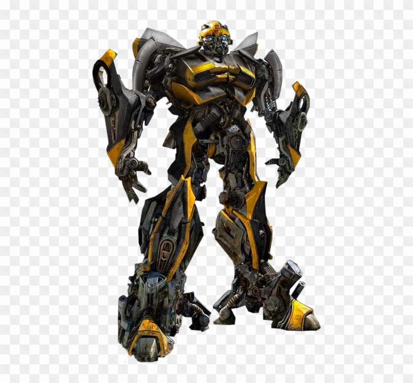 bumblebee and hot rod
