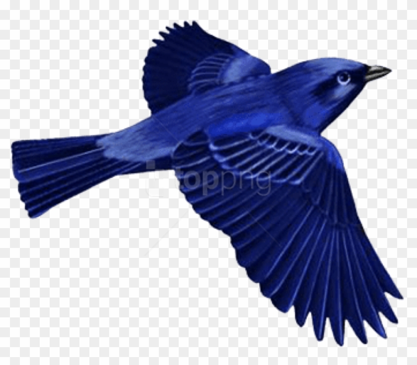 Free Png Download Dark Blue Bird Clip-art Png Images - Dark Blue Png Transparent Png #4206081